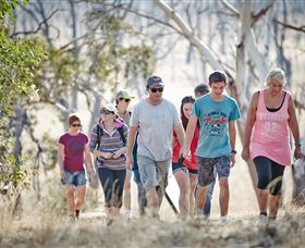 Winton Wetlands Reserve - Tourism Canberra 0
