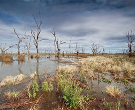 Winton Wetlands Reserve - Tourism Canberra 4