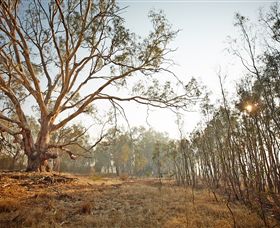 Winton Wetlands Reserve - Tourism Canberra 2