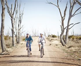 Winton Wetlands Reserve - Tourism Canberra 6