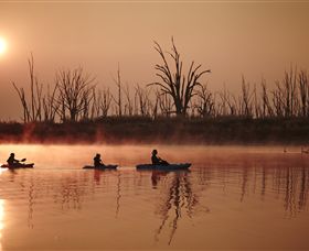 Winton Wetlands Reserve - Tourism Canberra 7