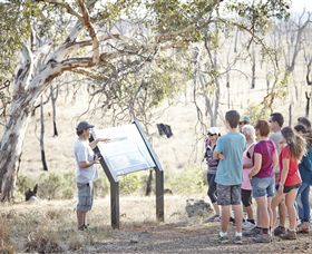 Winton Wetlands Reserve - Tourism Canberra 5