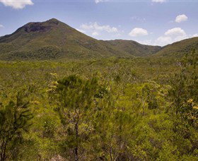 Kutini-Payamu (Iron Range) National Park (CYPAL) - Tourism Canberra 0