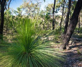 Brisbane Ranges National Park - Tourism Canberra 0
