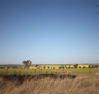 Cootamundra Bird Walk - Tourism Canberra