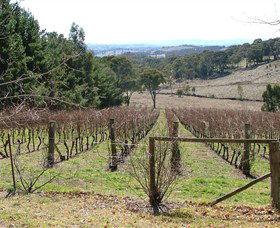 Habitat Vineyard - Tourism Canberra 0