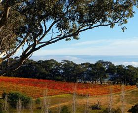 Bloodwood Estate - Tourism Canberra 0