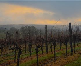 Bloodwood Estate - Tourism Canberra 1