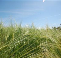 150 Degrees East Meridian - Tourism Canberra