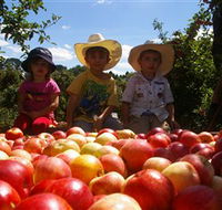 Bonny Glen Fruits - Tourism Canberra