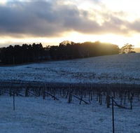 Charles Sturt University Winery - Tourism Canberra