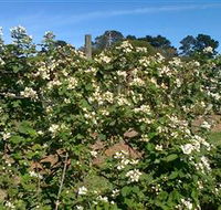 Huntley Berry Farm - Tourism Canberra
