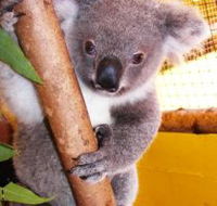 Cooberrie Park Wildlife Sanctuary - Tourism Canberra