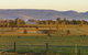 Holbrook Landcare Self-Drive Eco Tour - thumb 0