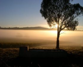 Patina Wines - Tourism Canberra 0