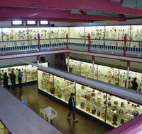 National Museum of Australian Pottery - Tourism Canberra