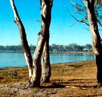 Lake Broadwater Conservation Park - Tourism Canberra