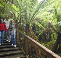 Otway Fly Treetop Adventures - Tourism Canberra