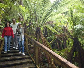 Otway Fly Treetop Adventures - Tourism Canberra 0