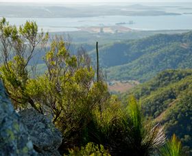 Mount Larcom Climb - Tourism Canberra 1