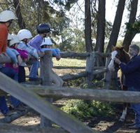 Harlow Park Horse Riding - Tourism Canberra