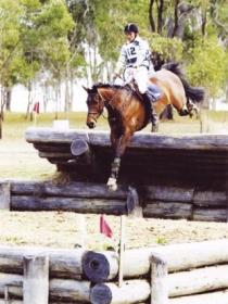 Morgan Park, Warwick - Tourism Canberra 1
