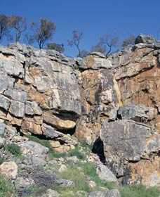 Watheroo ACT Tourism Canberra