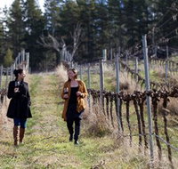 Mount Majura Vineyard - Tourism Canberra