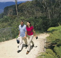 Blue Mountains Walking Tracks - Tourism Canberra