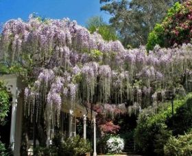 Nooroo Gardens - Tourism Canberra 0
