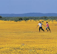 Wildflowers of the Mid West - Tourism Canberra