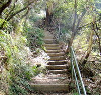 Nature track - Tourism Canberra