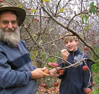 Pine Crest Orchard - Tourism Canberra