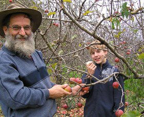 Pine Crest Orchard - Tourism Canberra 0