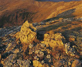 Kosciuszko National Park - Charlottes Pass To Snowy River - Tourism Canberra 1