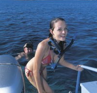Seal Cove - Tourism Canberra
