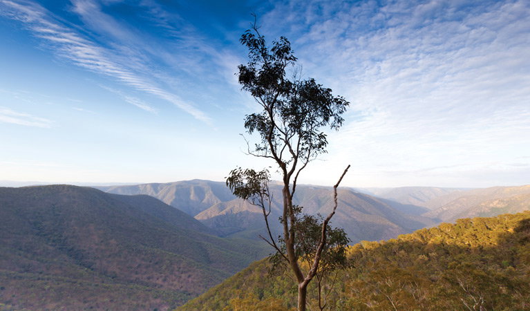 Mihi NSW Tourism Canberra