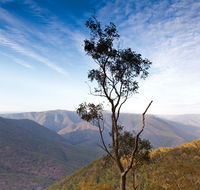 Salisbury Waters walking track - Tourism Canberra