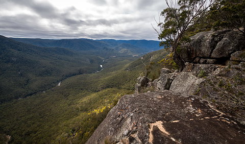 Mann River Nature Reserve - Tourism Canberra 2