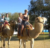 Calamunnda Camel Farm  - Tourism Canberra