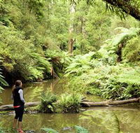 Morwell National Park - Tourism Canberra