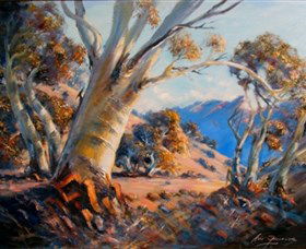 Kunama Snowy Mountains Centre For The Arts - Tourism Canberra 0