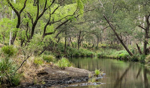Koreelah National Park - Tourism Canberra 1