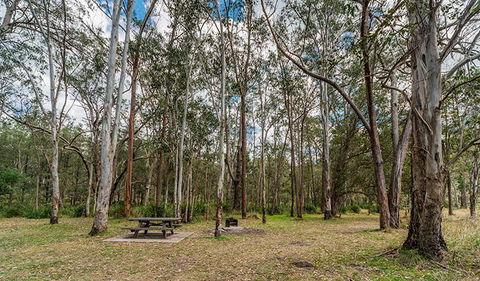 Koreelah National Park - Tourism Canberra 3