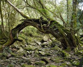 Mitchell River National Park - Tourism Canberra 0