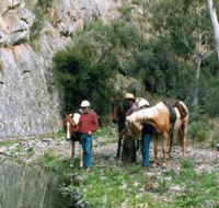 Yarramba Horse Riding - Tourism Canberra