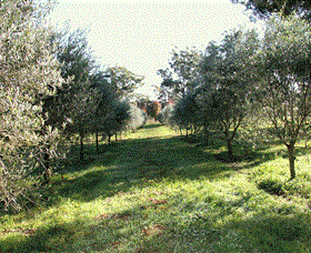 Langdale Farm - Tourism Canberra