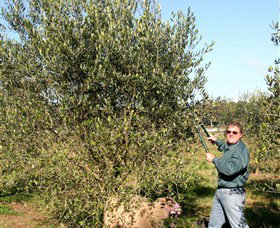 Langdale Farm - Tourism Canberra 3