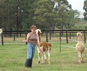 Langdale Farm - Tourism Canberra 4
