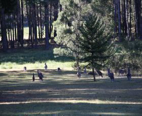 Shrine Of Our Lady Of Mercy At Penrose Park - Tourism Canberra 2